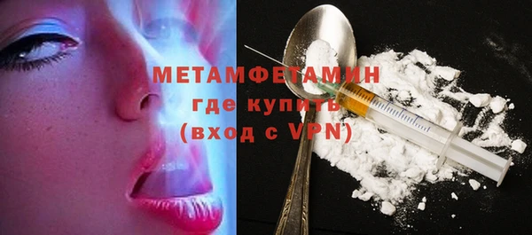 индика Богородицк