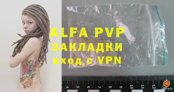 индика Богородицк