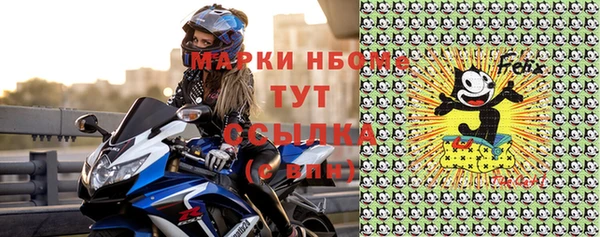 трава Сясьстрой