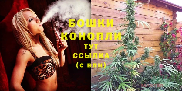амф Богданович