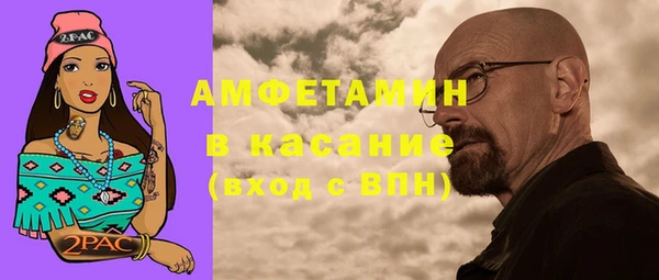 индика Богородицк
