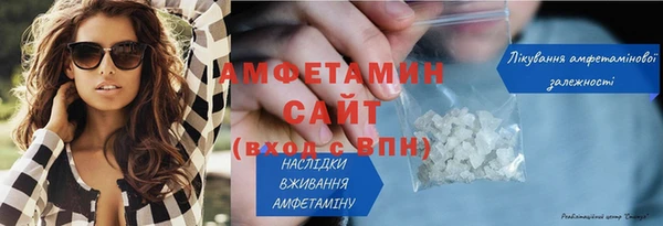 индика Богородицк