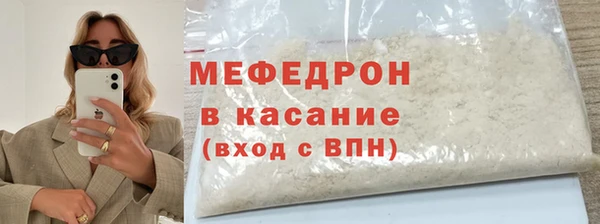 индика Богородицк