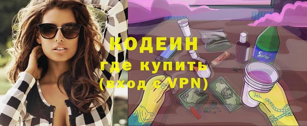 трава Сясьстрой