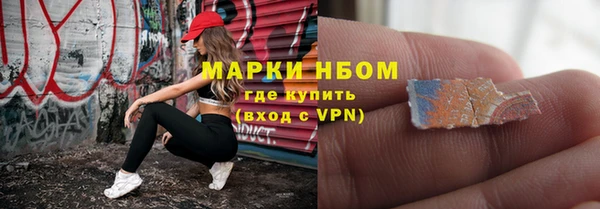 индика Богородицк