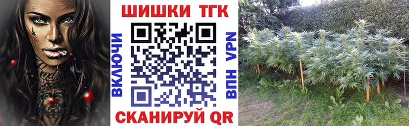 Шишки марихуана планчик Озёрск